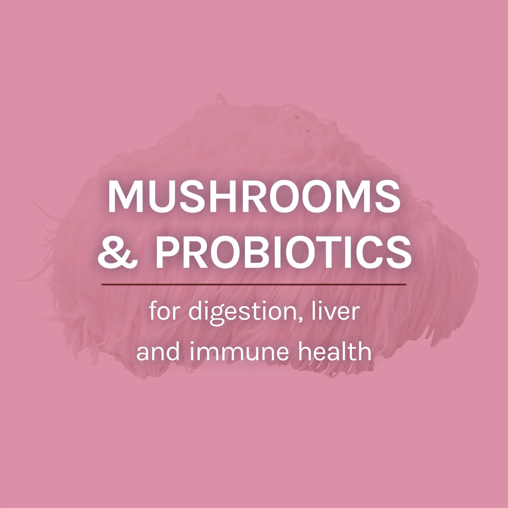 MycoBotanicals Microbiome Powder 3.5 oz S618