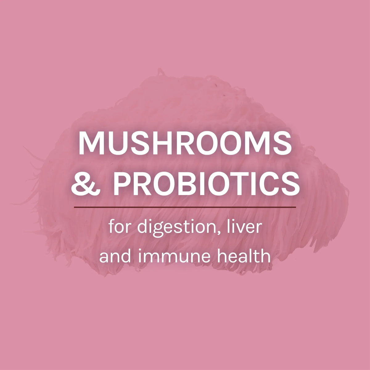 MycoBotanicals Microbiome Powder 3.5 oz S618