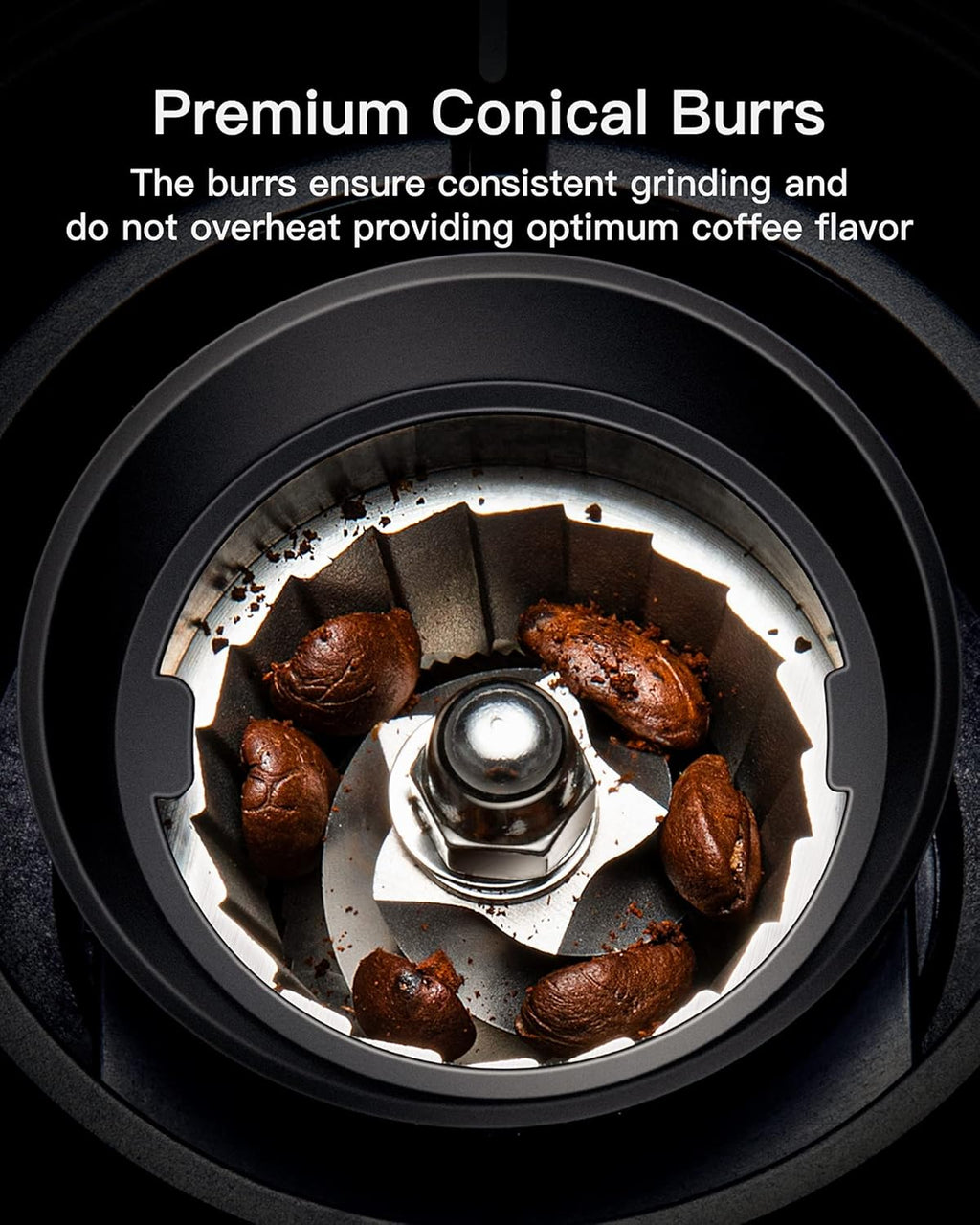 Stainless Steel Conical Burr Coffee Grinder with 35 Grind Settings D879