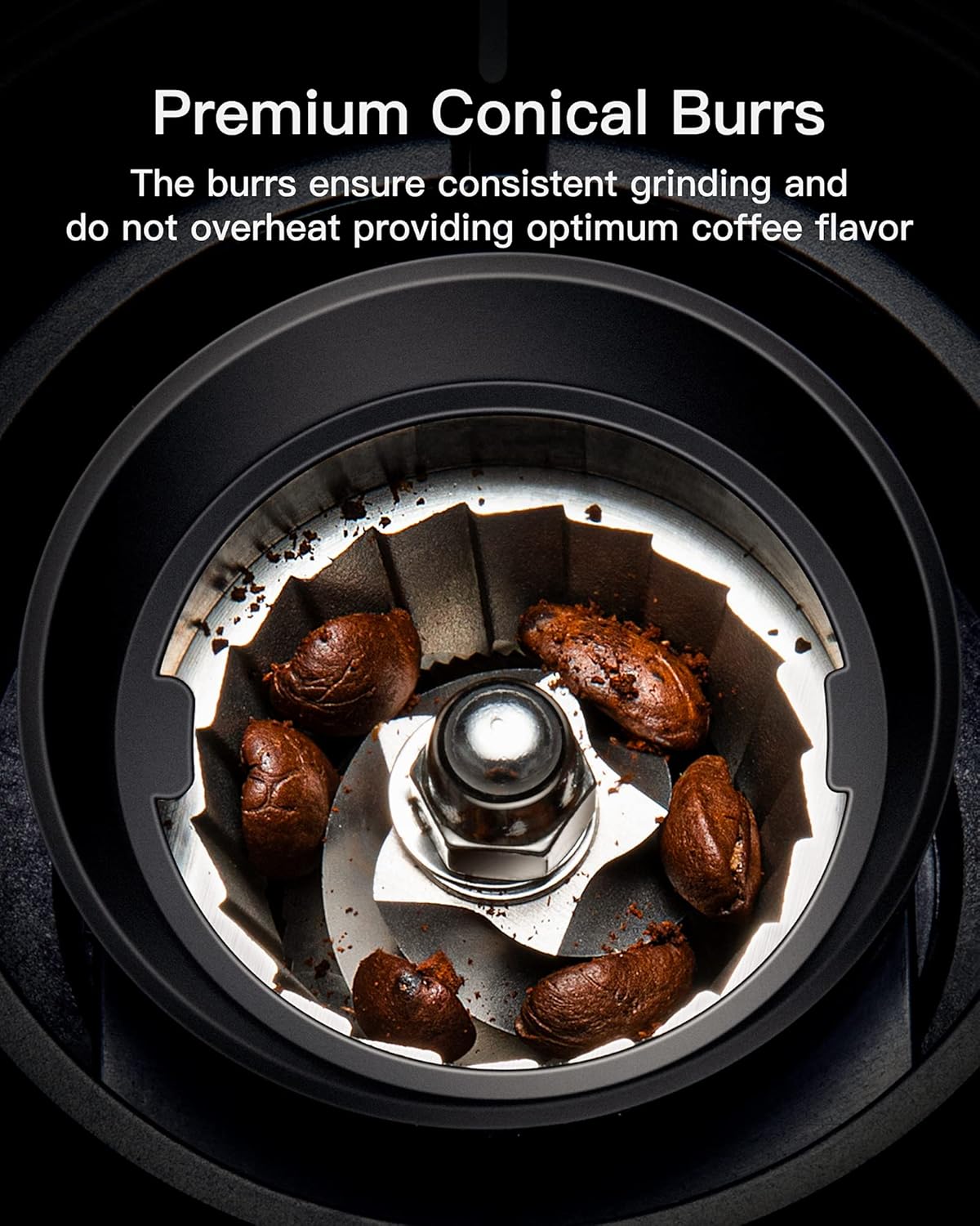 Stainless Steel Conical Burr Coffee Grinder with 35 Grind Settings D879
