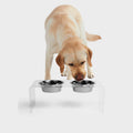 Clear Double Bowl Pet Feeder M724