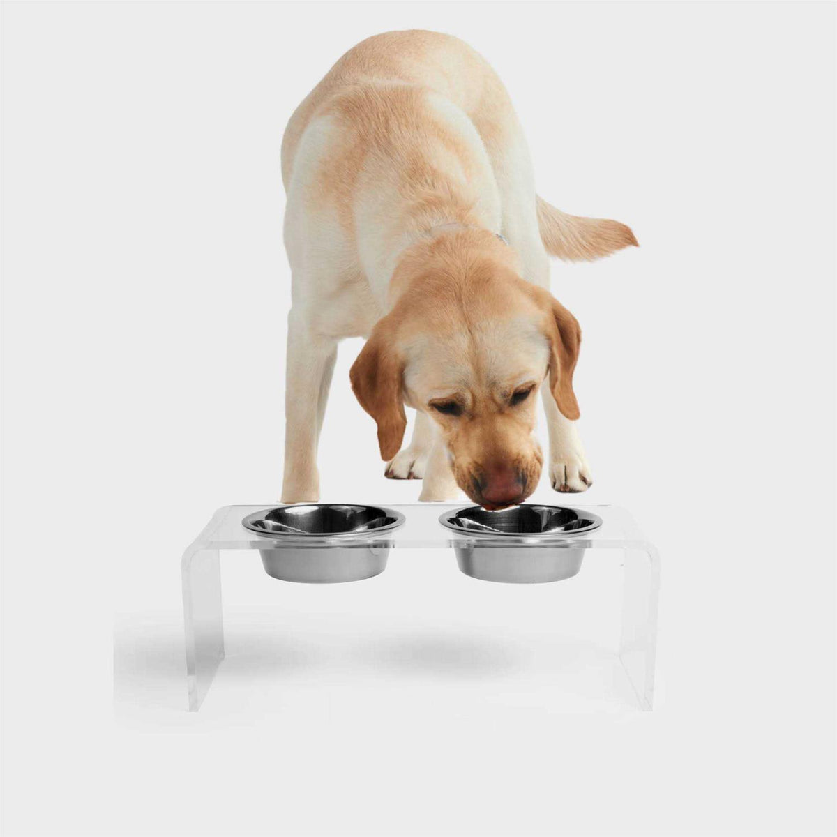 Clear Double Bowl Pet Feeder M724