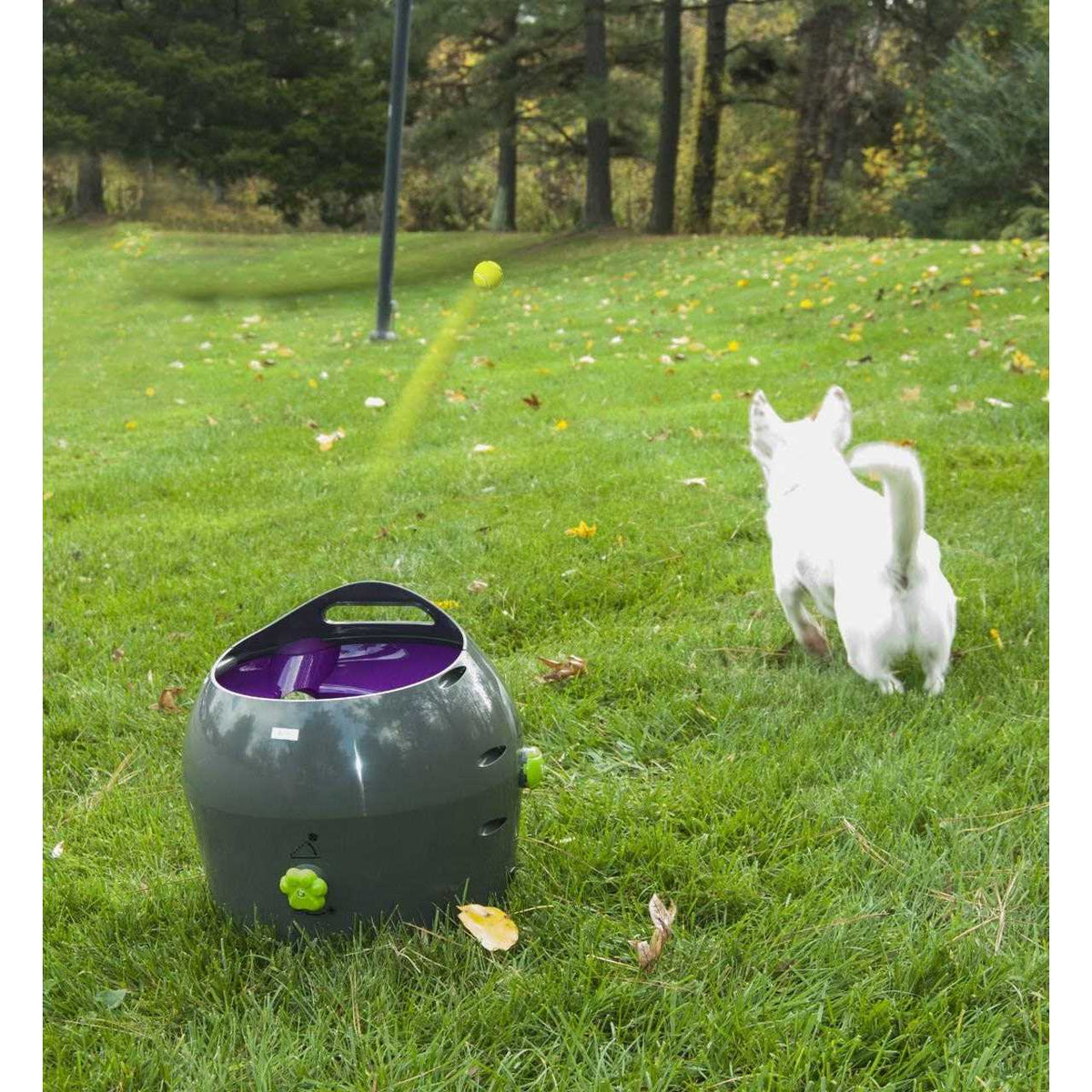 Automatic Ball Launcher Dog Toy E930