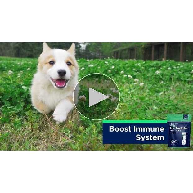 Probiotic Powder for Dogs with Prebiotic E78107