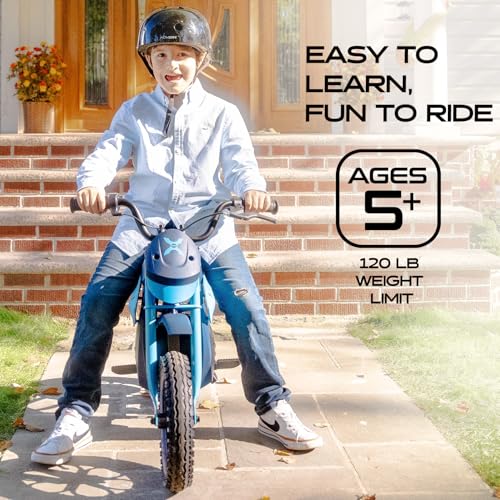 300W Motor 9MPH Max Speed 12” Off-Road Tires Electric Dirt Bike Z4582