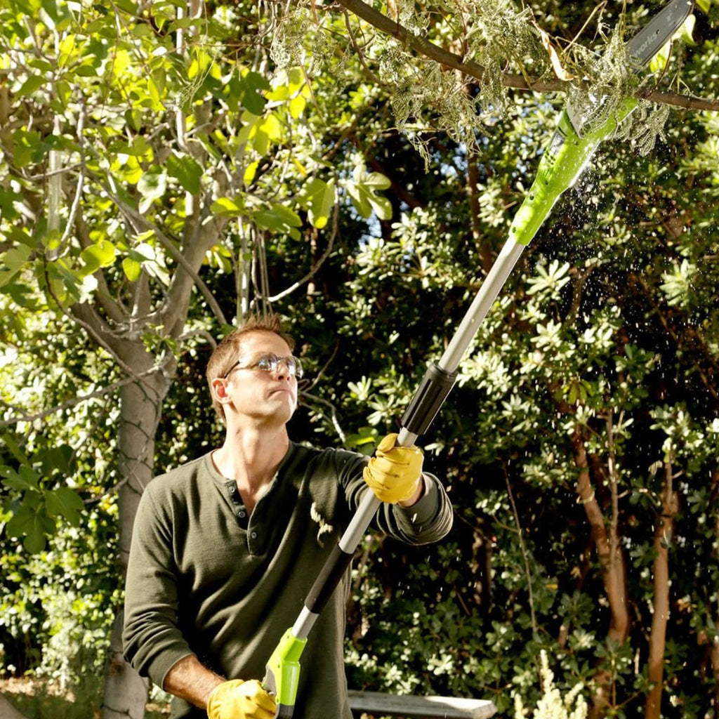 40V Cordless Battery Powered Pole Saw with 2.0 Ah Battery & Charger T662